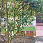 Nyaraló Francesca's Sorrento