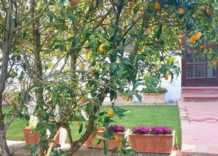 Casa de Férias Francesca's Sorrento