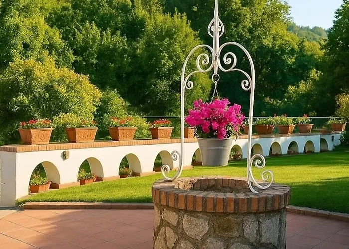 Francesca's * Σορέντο